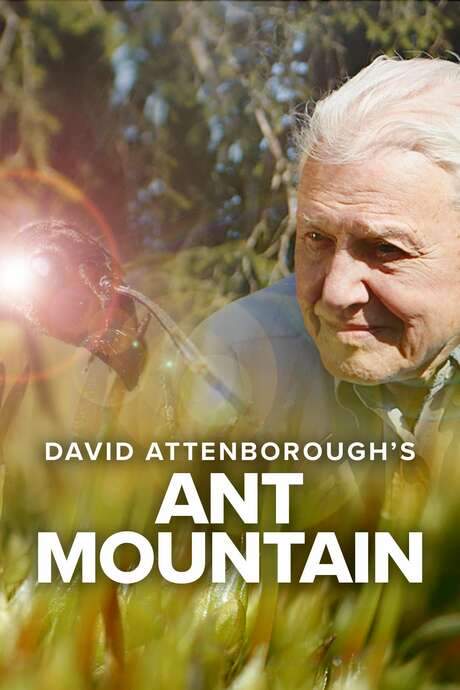 David Attenborough’s Ant Mountain